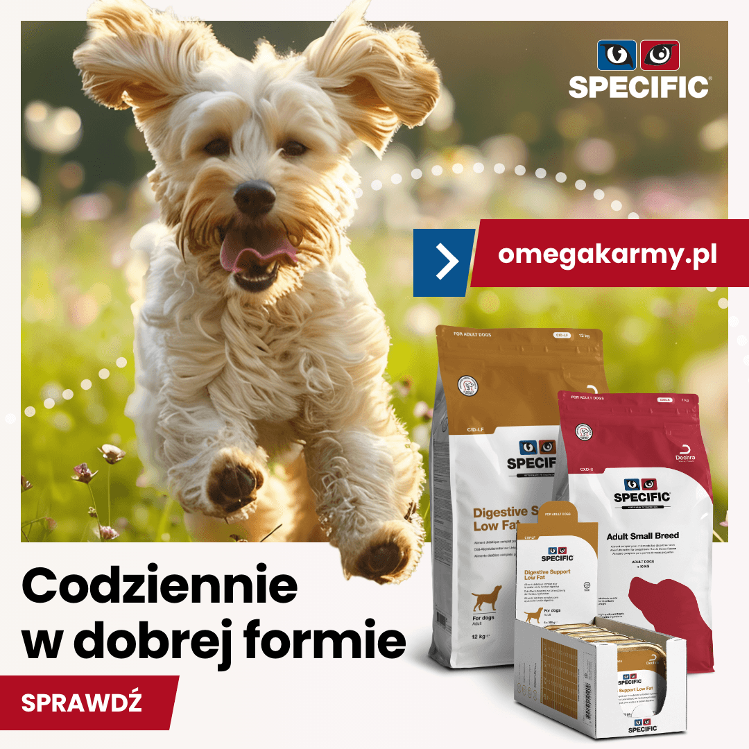 SPECIFIC - pies lato